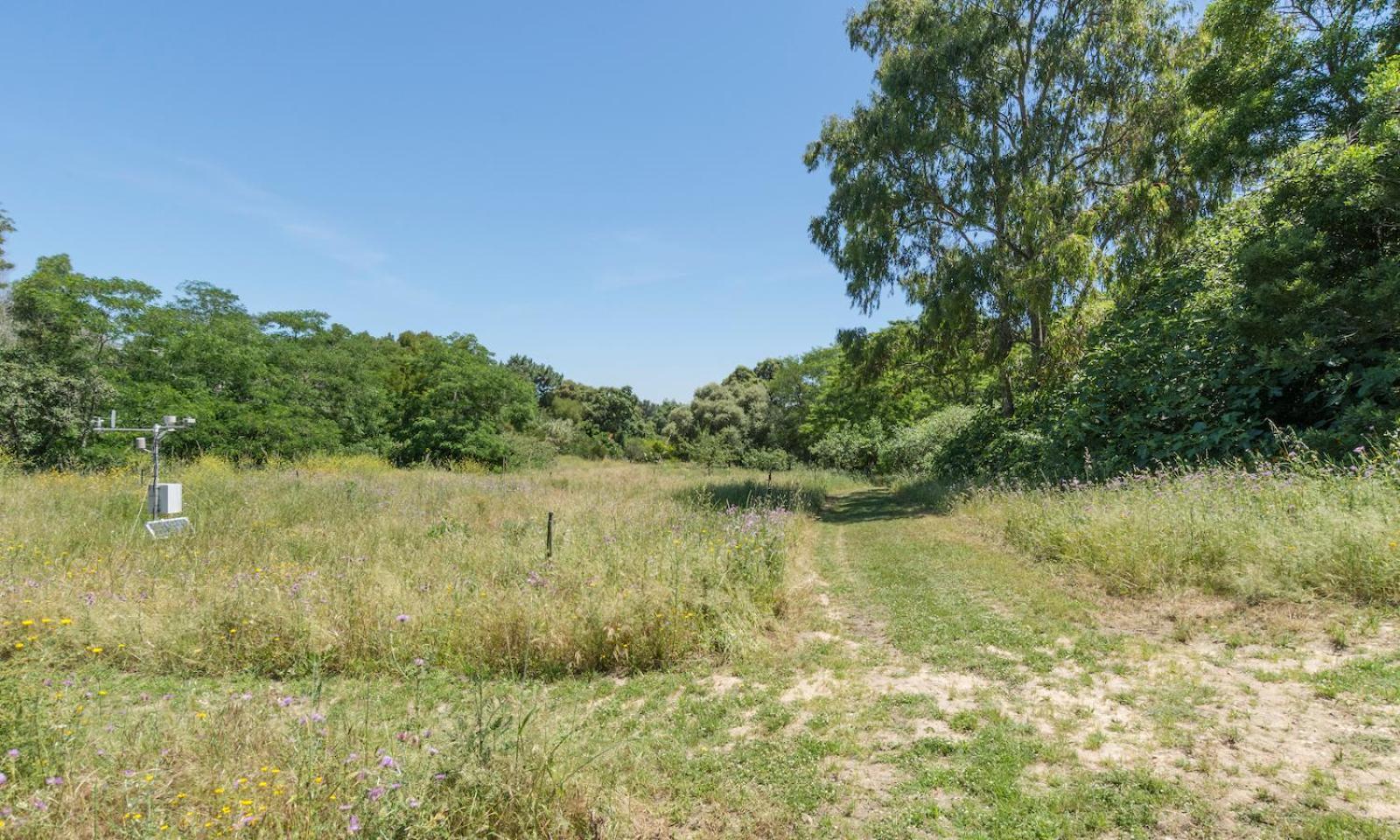 Quinta De Sao Pedro Gospodarstwo agroturystyczne *