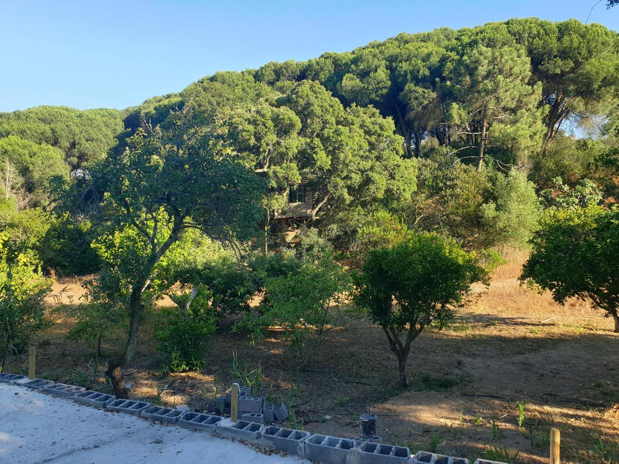 Quinta De Sao Pedro Gospodarstwo agroturystyczne Sobreda